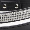 Rhinestone Bling Dog Leash, animal print, swatch
