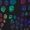 Spot On Jacquard Dress, print, swatch