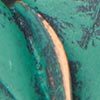 Copper Bloom Necklace, copper, swatch