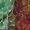Midnight Blooms Cape, print, swatch