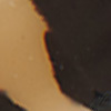 Oval Drop Earrings, tortoiseshell/black, swatch