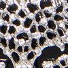Totally Wild Scarf, black/silver, swatch