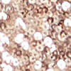 Sparkle Sequin Lined Shrug, champagne, swatch
