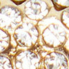 Pearl Bling Pin, gold/pearl, swatch
