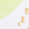 Clothing Protectors Circle Print, lemongrass, swatch