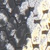Stella Snake Metallic Bag, black/gold, swatch