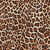 Natural Leo Shirred Dress, print, swatch