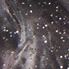 Starry Night Earrings, black/lilac, swatch