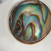 Gorgeous Shell Earrings, silver/multi, swatch