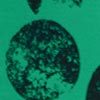 Orb Top, print, swatch
