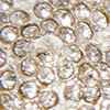 Daisy Days Scarf Pin, silver, swatch