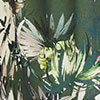 Modal Tropical Kimono, print, swatch