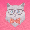 Cat Glasses Case, pink, swatch