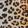 Sanctuary Kimono, print, swatch