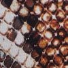 Bamboo Java Pant, print, swatch