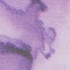 Clothing Protectors, lavender, swatch