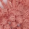 Eyelash Lace Cape, soft pink, swatch
