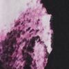 Gabrielle Dress, print, swatch