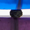 Two Tone Resin Earring, purple/blue/black, swatch