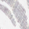 Natural Linear Leaf Dress, print, swatch